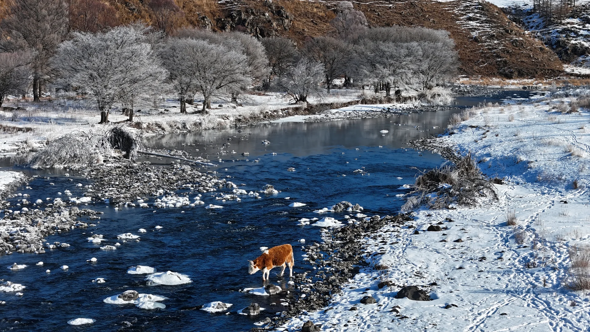 2025 年元旦好去处🎉阿尔山三日保姆级攻略