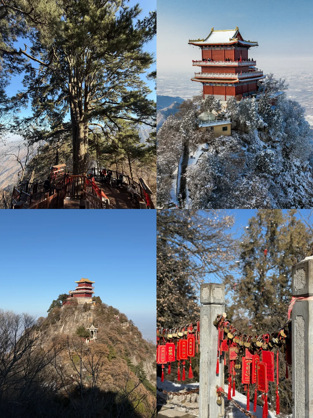 🚗西安周边游｜爬山⛰️玩雪❄️撸猫🐈走起‼️