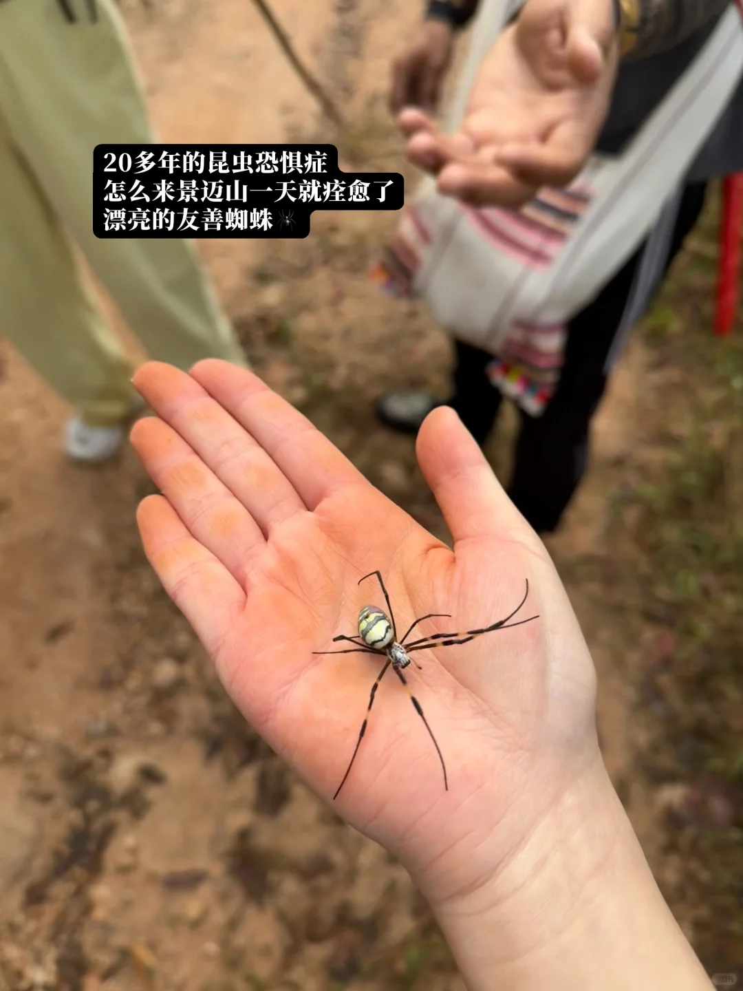 本地人带玩就是景迈山最好的体验方式