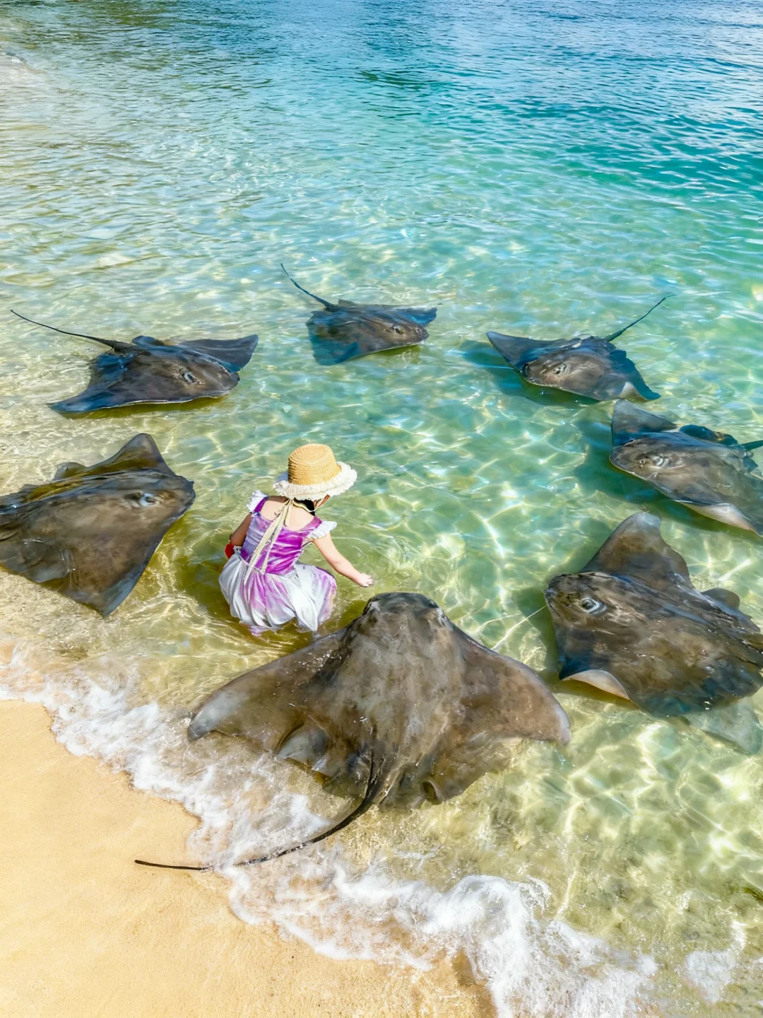 今年寒假，我只带娃去一个地方：陵水❗️