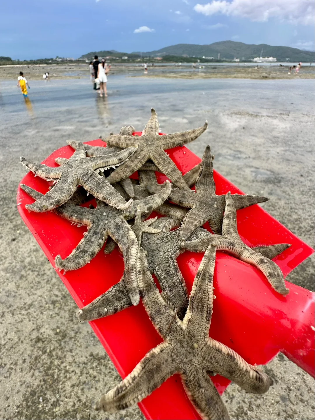 今年寒假，我只带娃去一个地方：陵水❗️