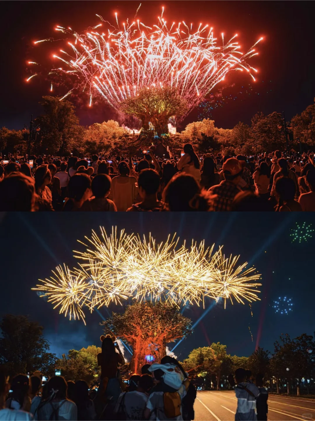 银基动物王国会惩罚每一个背包的人……