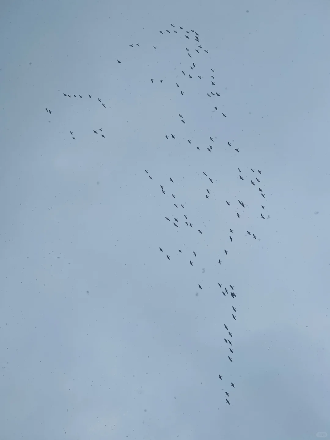 12.3威海实况，雪后的天鹅湖美得像童话❄️