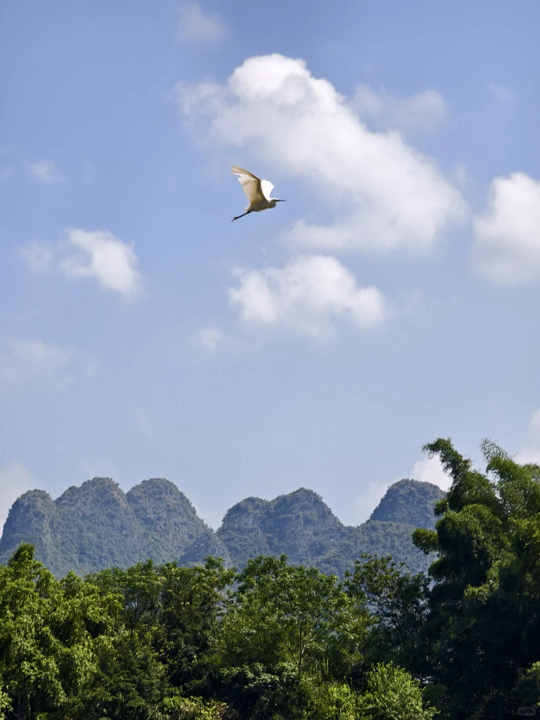 桂林山水保姆级攻略✨人均100+玩爽漓江