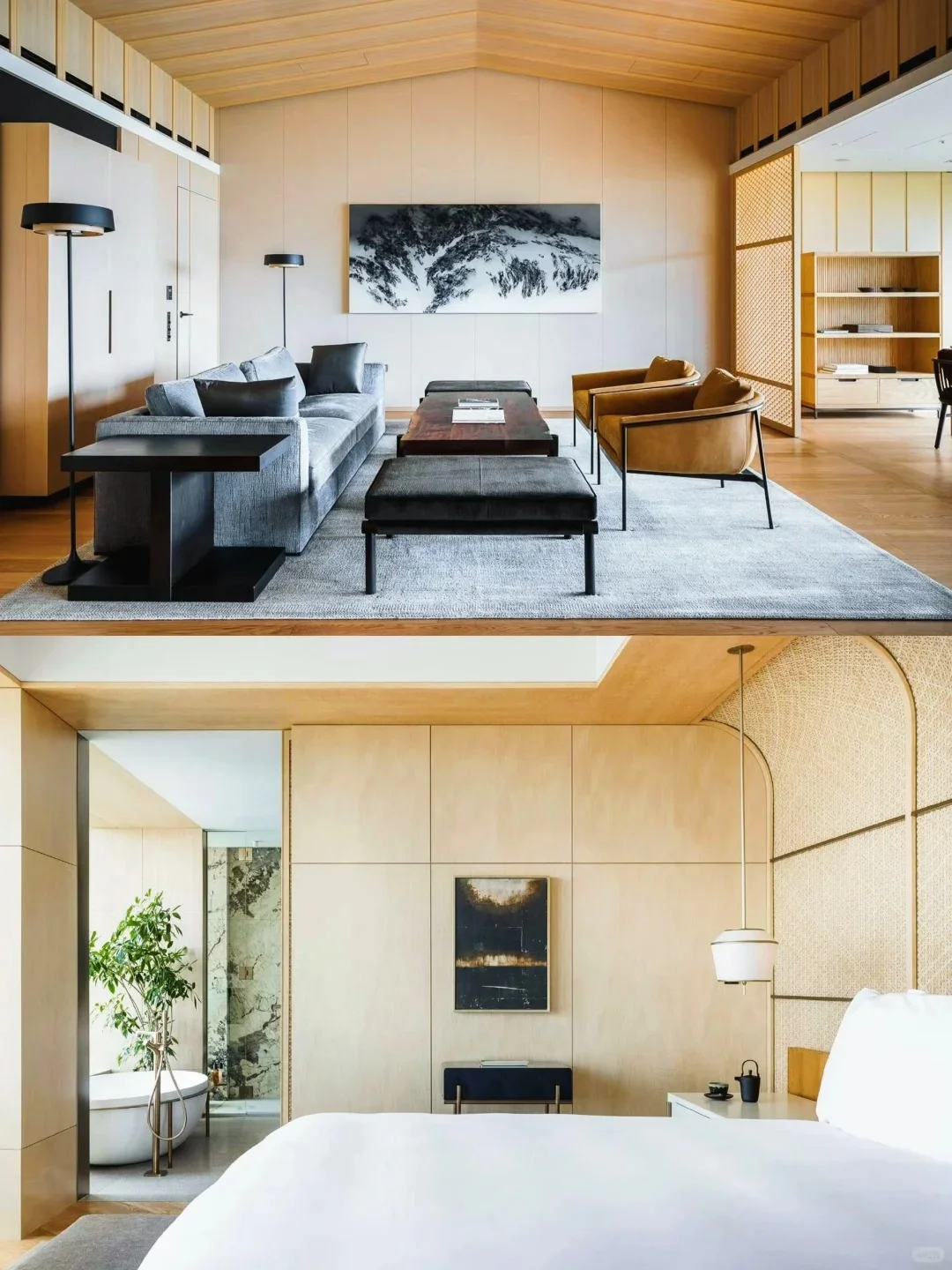 🏨维也纳丽思卡尔顿|维也纳奢华之选✨