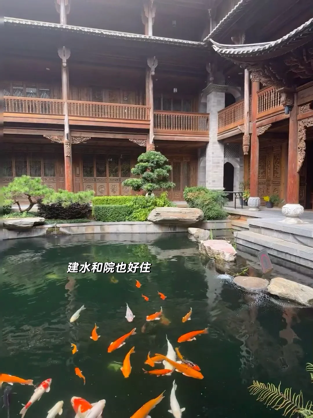 放弃大理了，带爸妈去21°C的弥勒过暖冬☀️