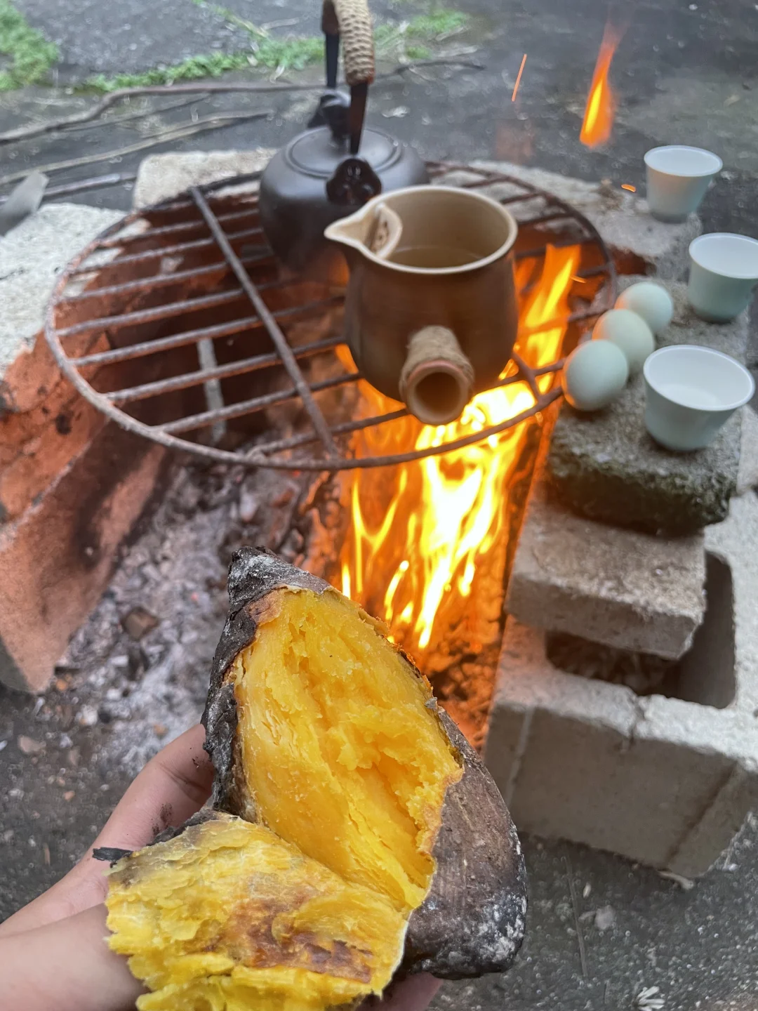 九华山3天2晚跨年祈福·黄精养生之旅