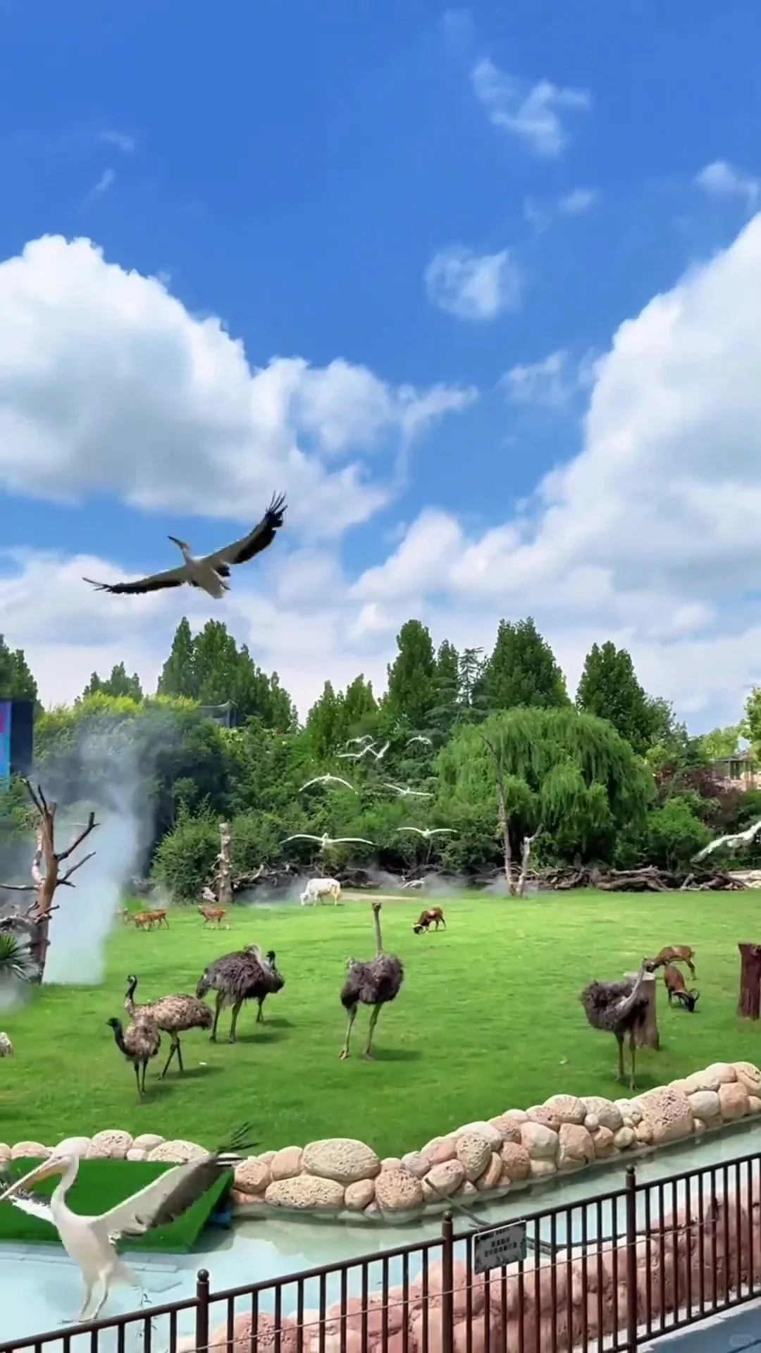 银基动物王国淡季爽到飞起🌟保姆级攻略