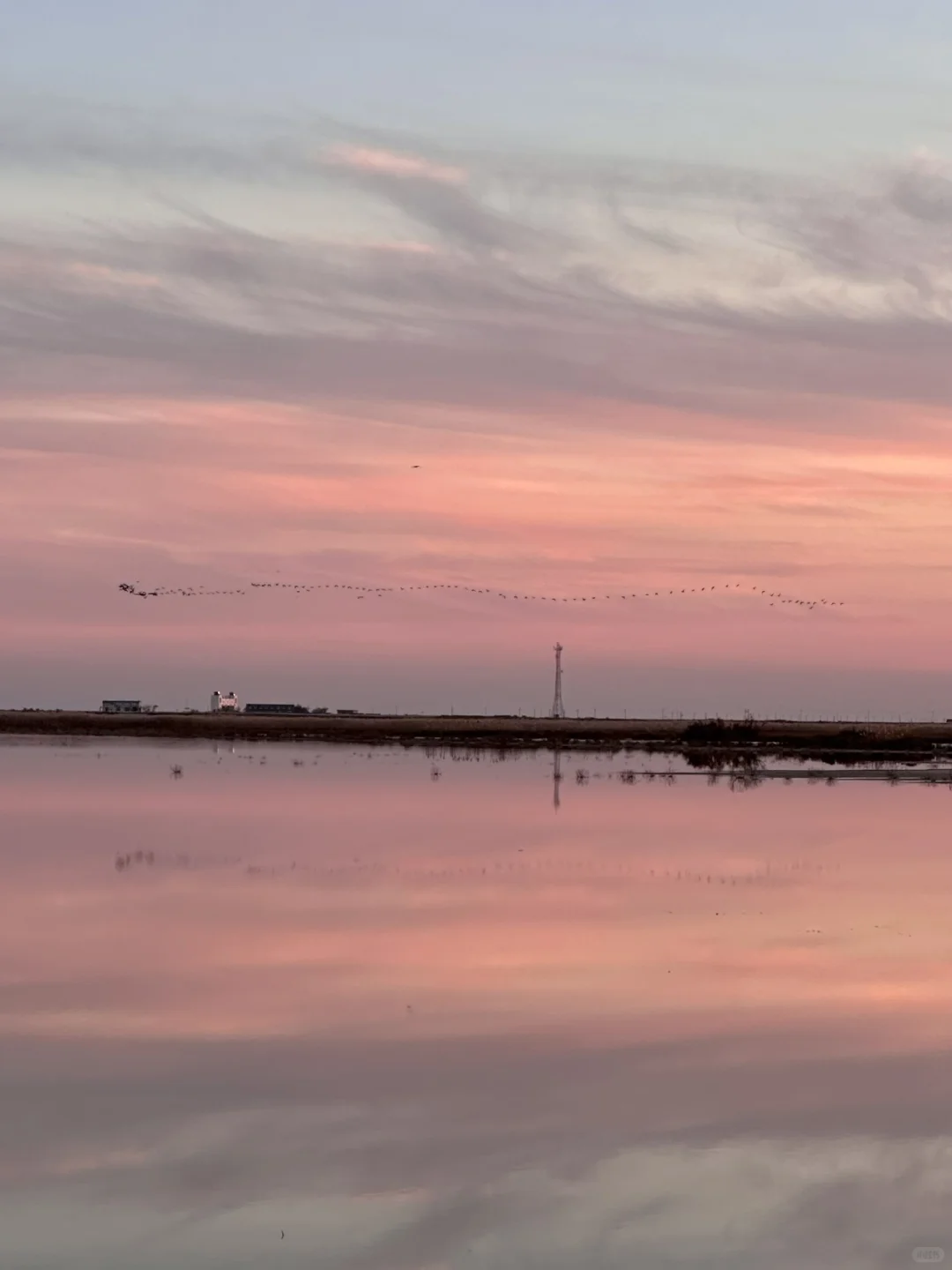 迄今为止 ，山东我最喜欢的小城出现了！！！