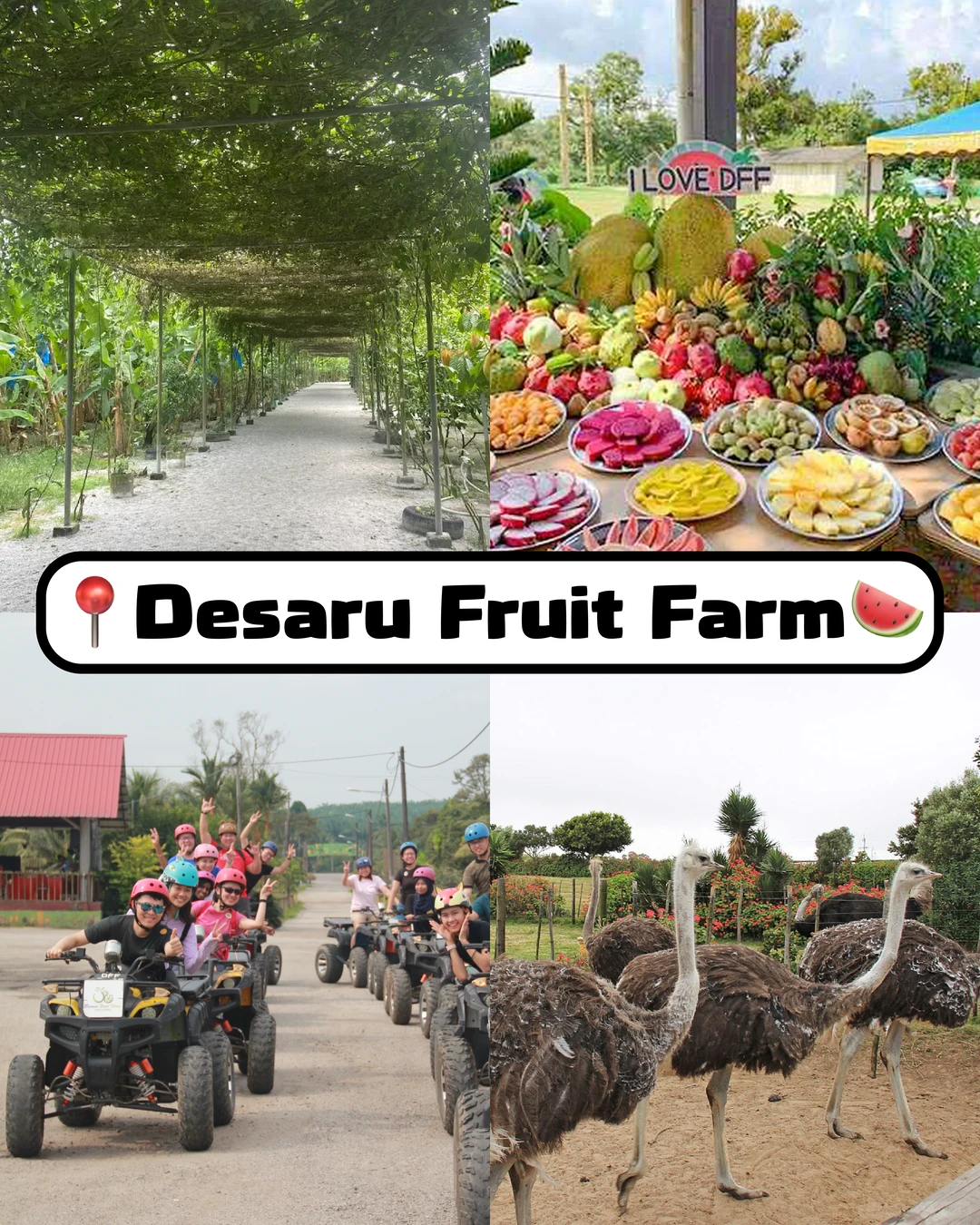 十二月必码住的柔佛亲子景点😍