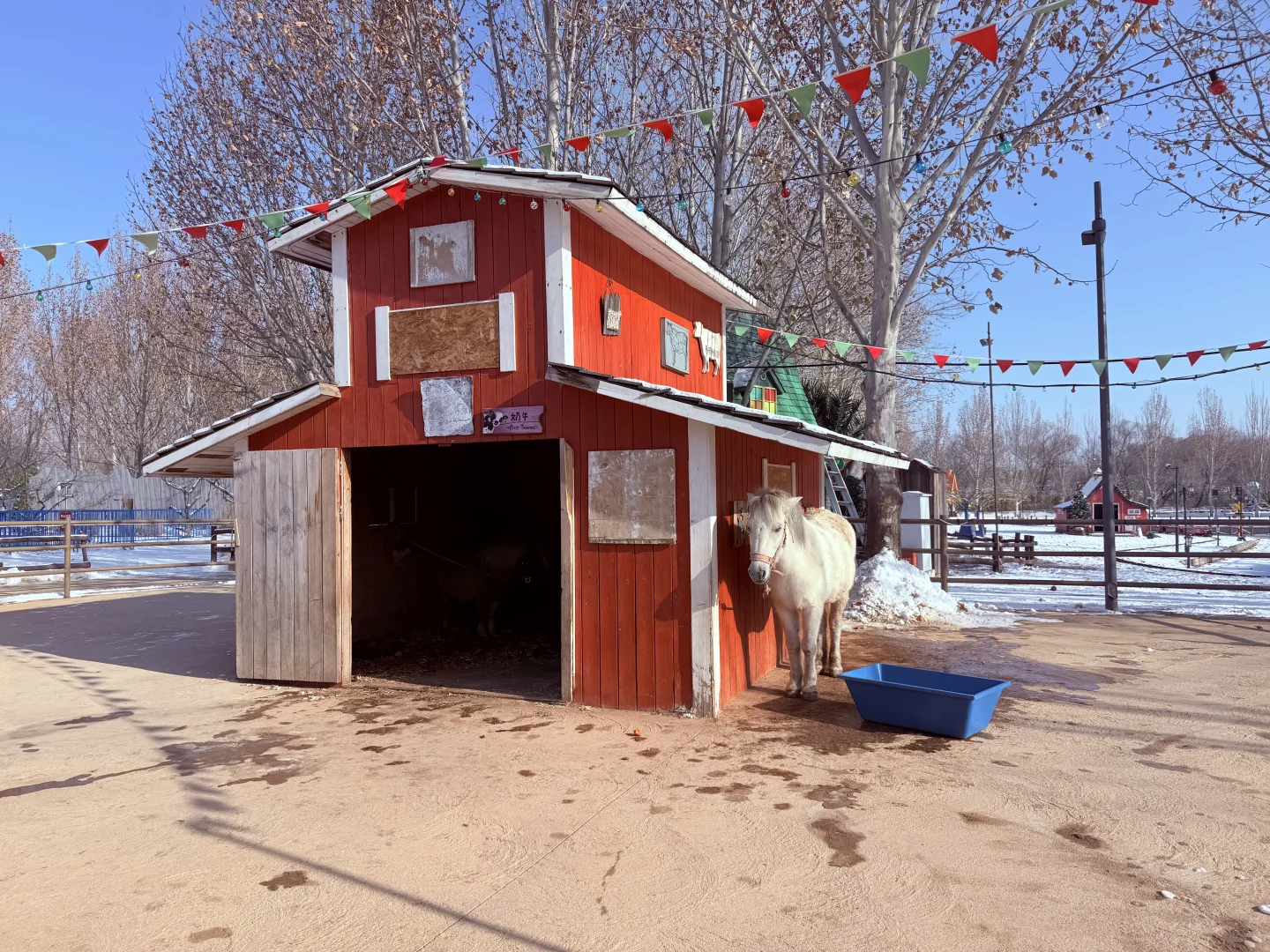 这个冬天，一起来尺木玩吧～