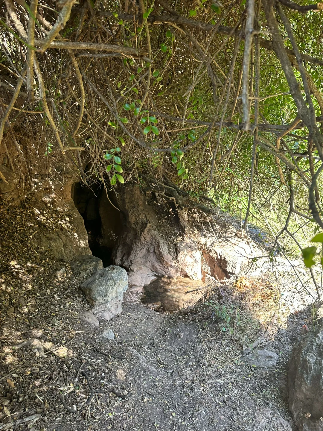 野温泉记|山洞里居然有个野温泉