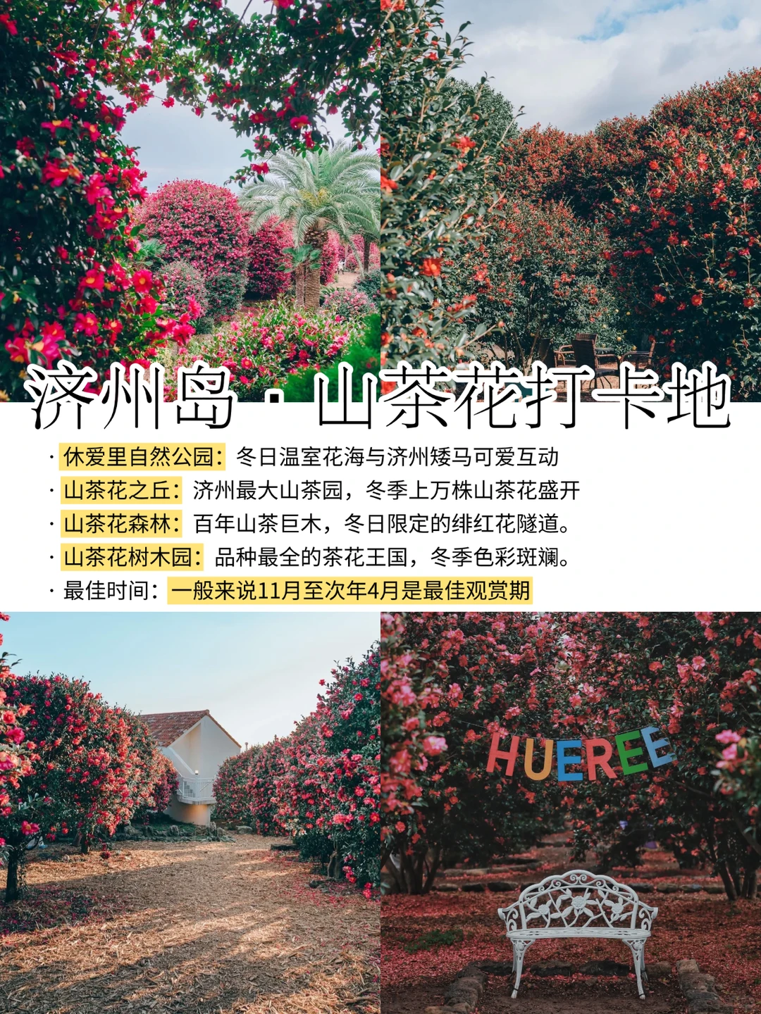 济州岛冬季必打卡景点攻略|码住👊