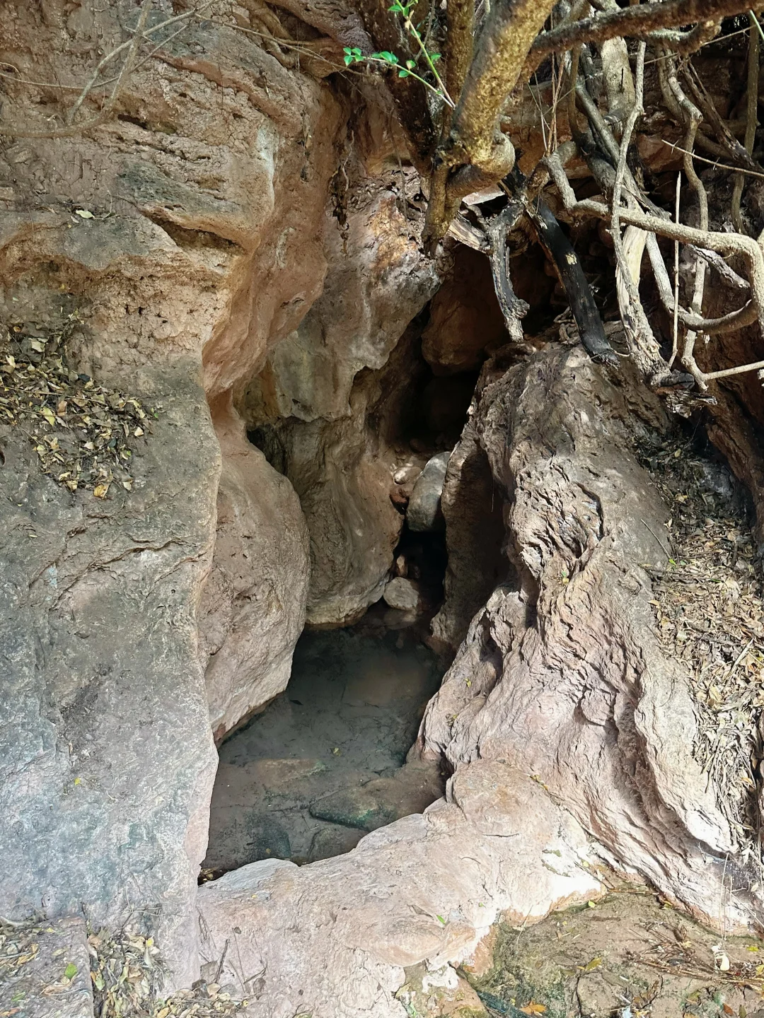 野温泉记|山洞里居然有个野温泉