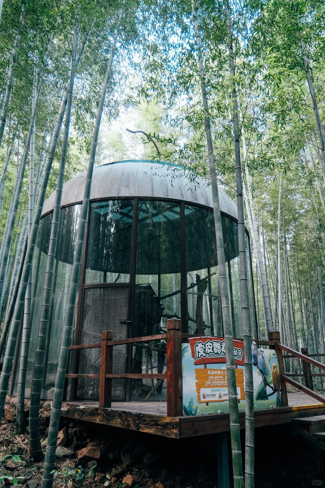 溧阳景点打卡全攻略|2-3 天玩转山水竹海