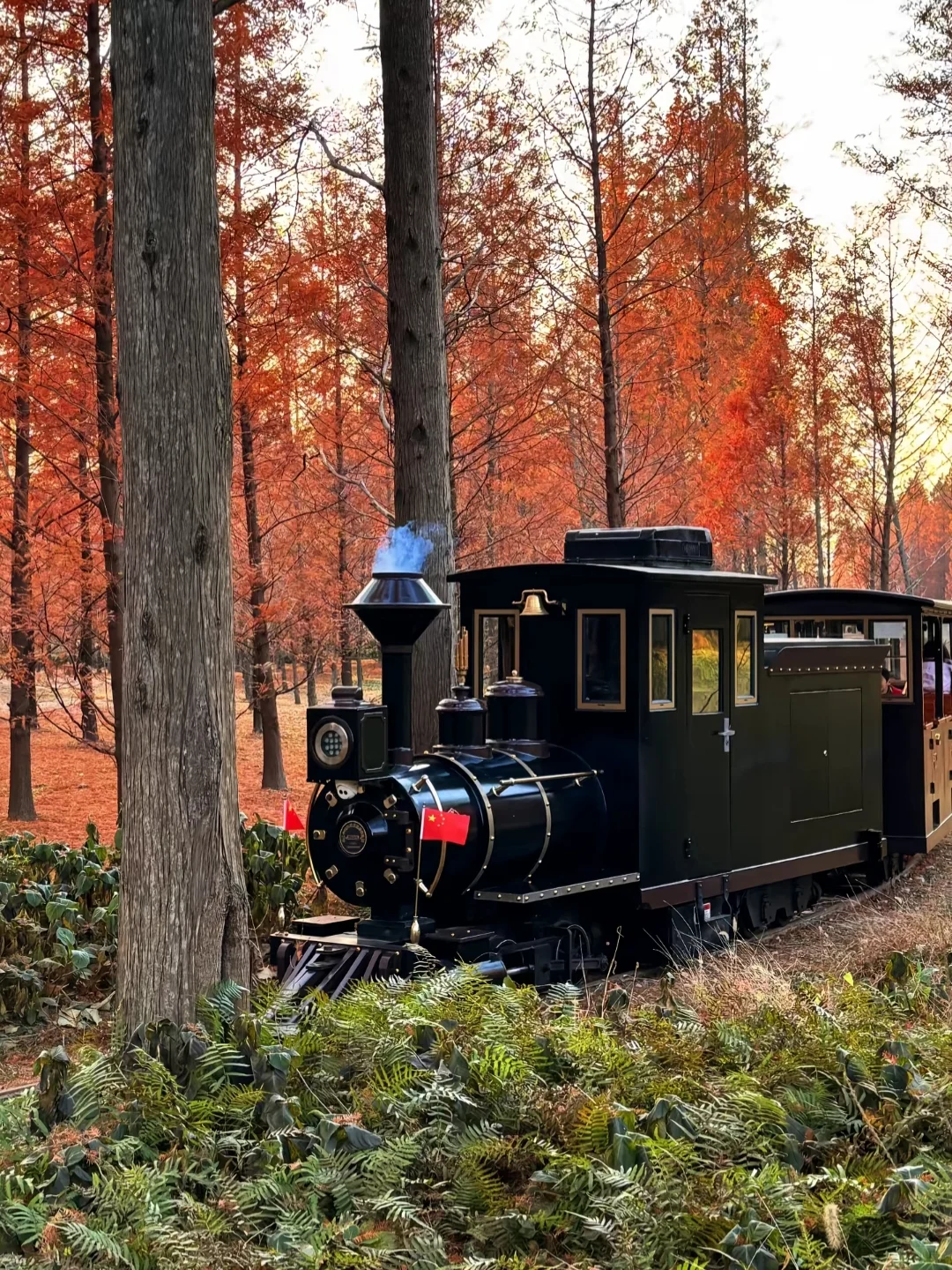 今日分享一个旅游打卡地之盐城