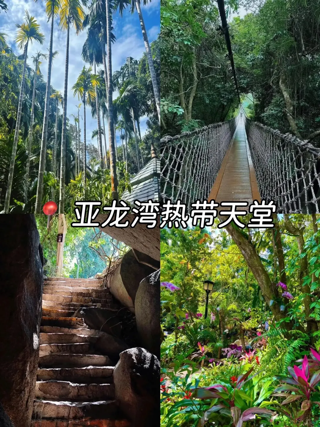 熬夜整理❗️三亚纯吃+纯玩2日游玩攻略❗️