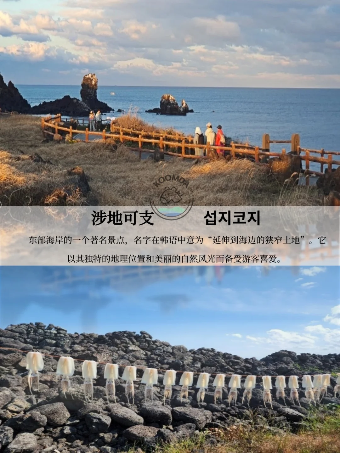 【酷达】2026 济州岛自由行,二晚三天