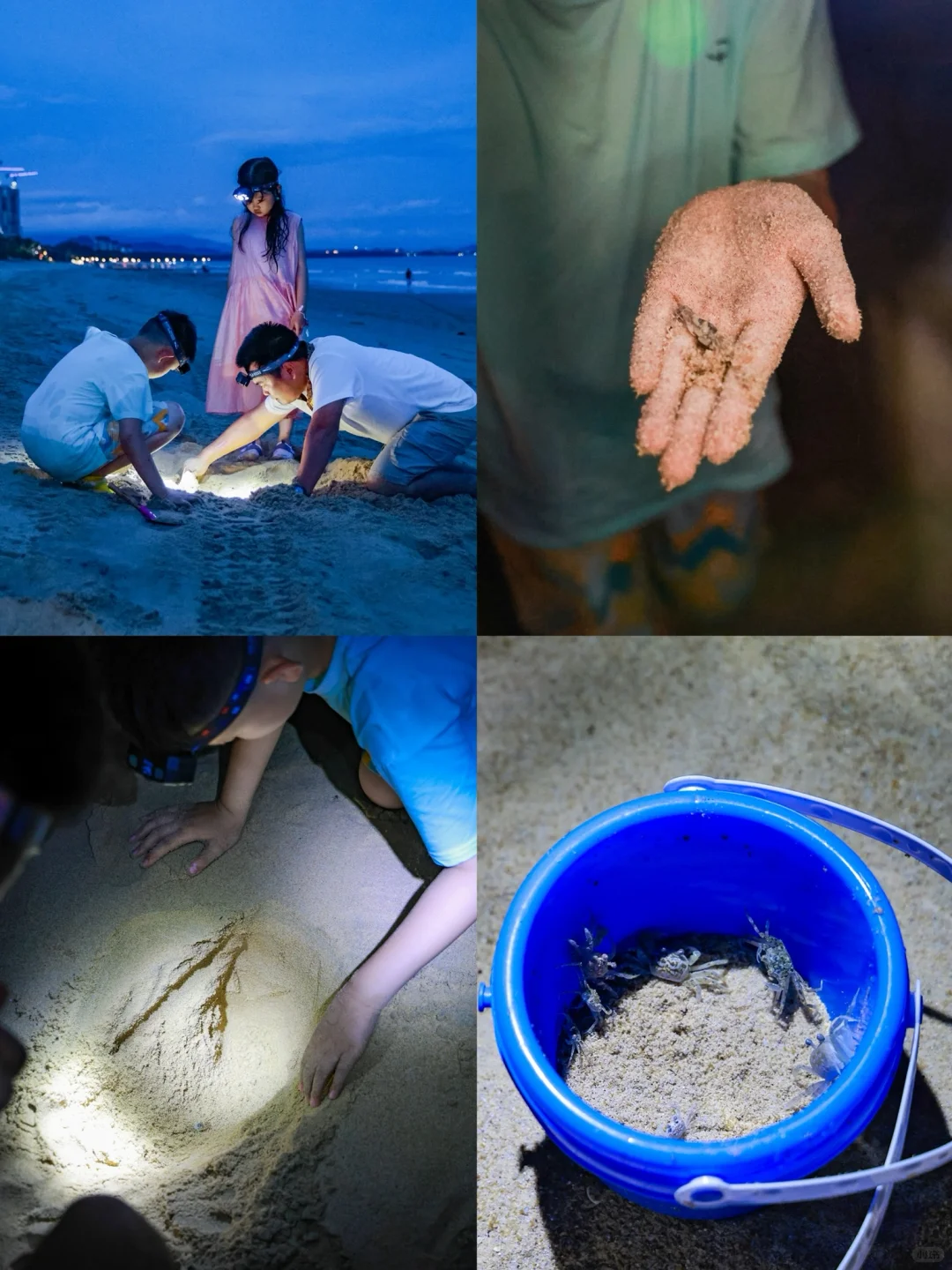 今年寒假，我只带娃去一个地方：陵水❗️