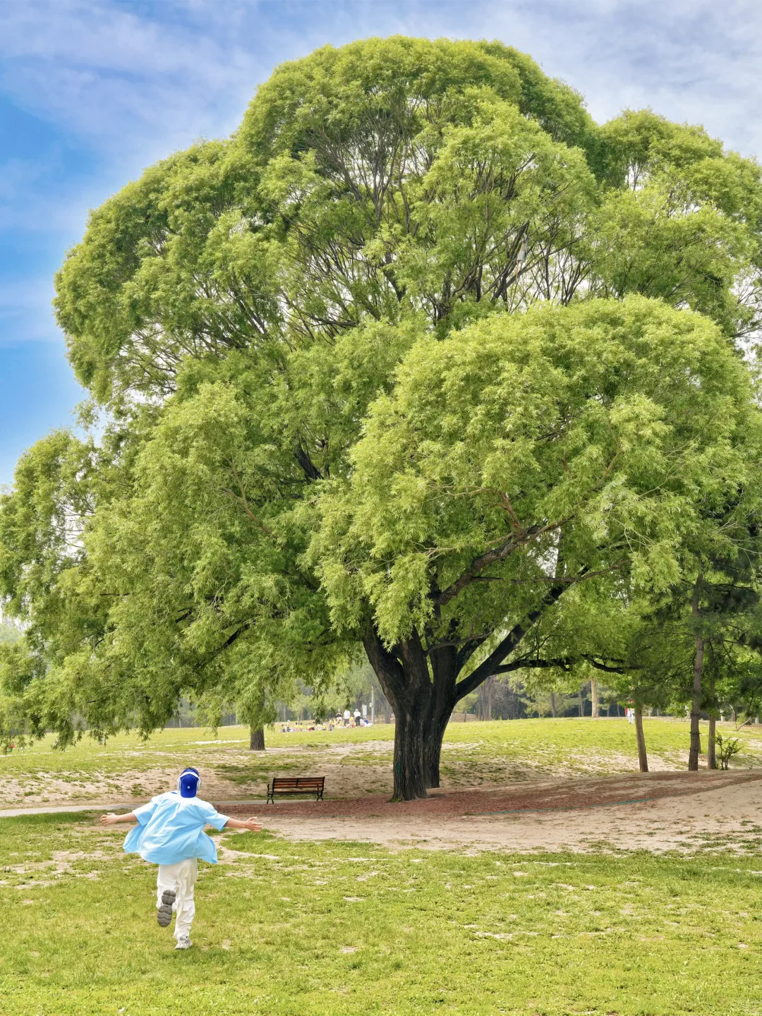 📍北京｜适合一个人逛一下午的地方(10/50)