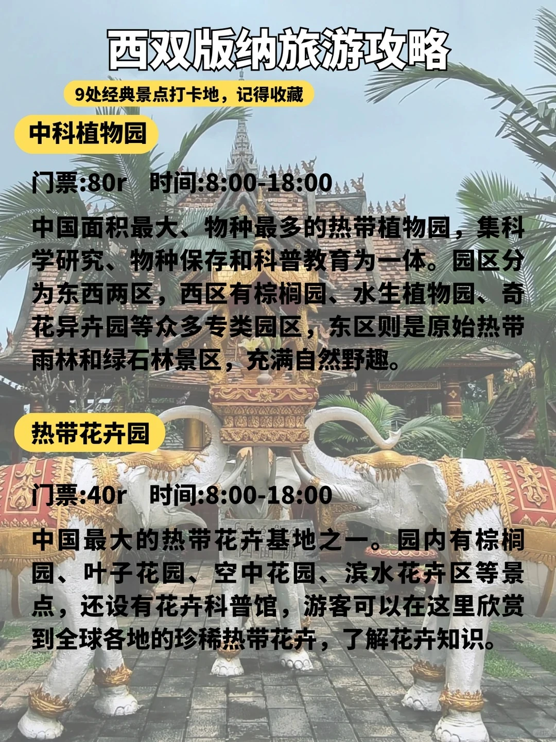 版纳这9个景点必打卡🔥第一来直接玩✨