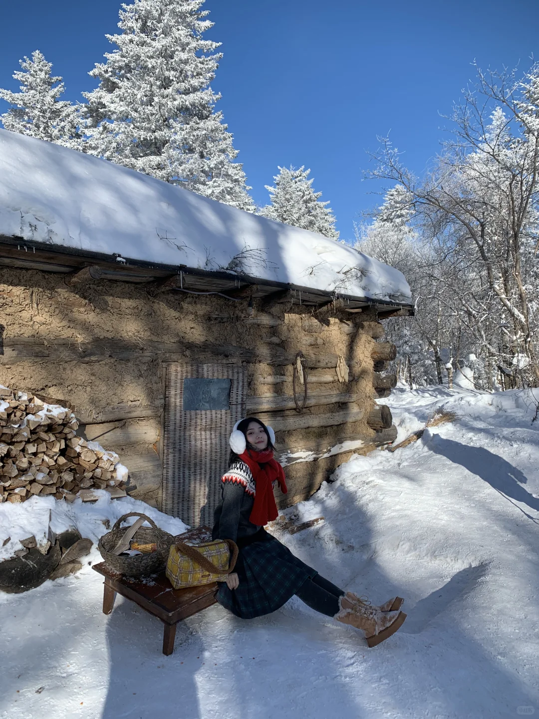 来雪岭玩千万别坐雪地摩托和马拉爬犁！！