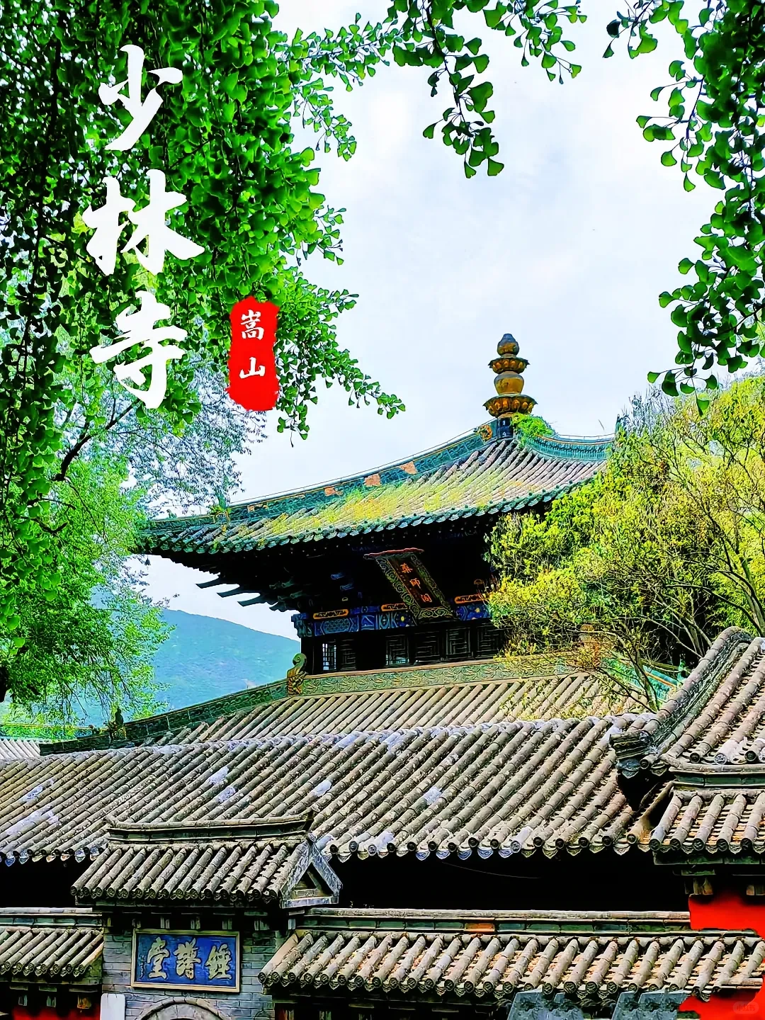 来河南必看景点！