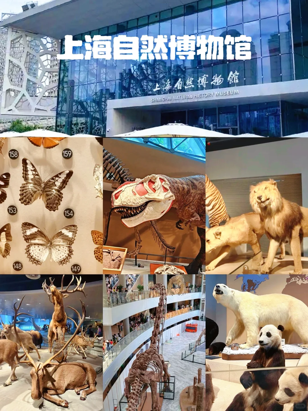 【十大必逛博物馆】🌟带娃必看！暑假旅游必去