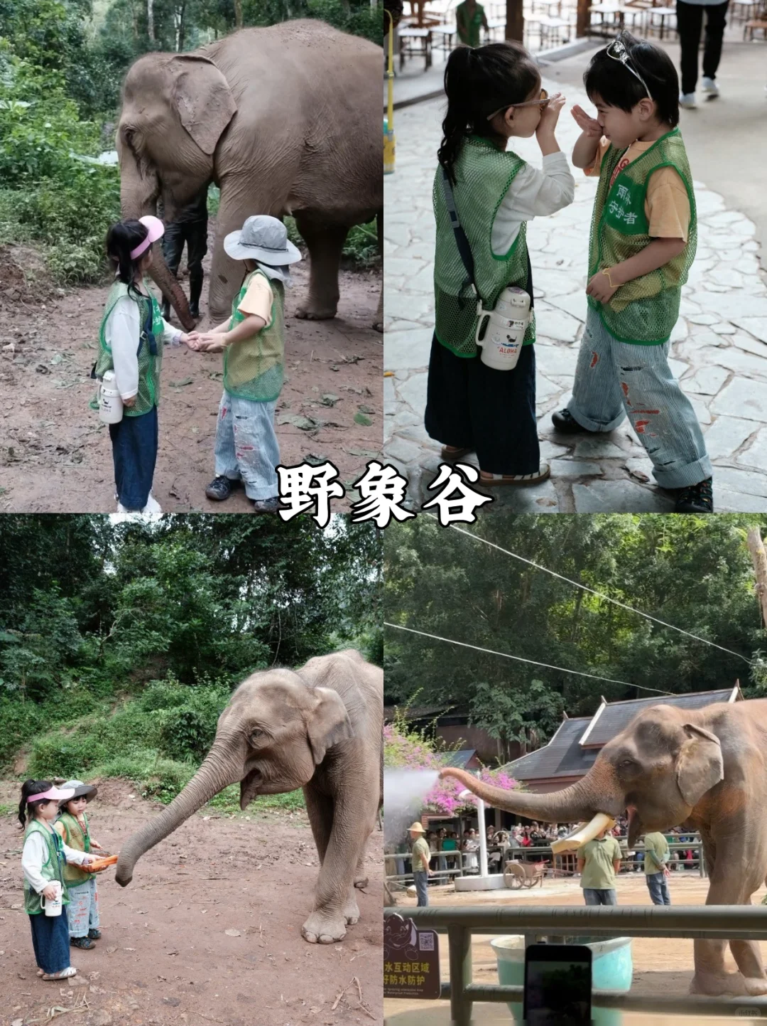 后悔没早点来版纳❗️｜带娃避寒太松驰！