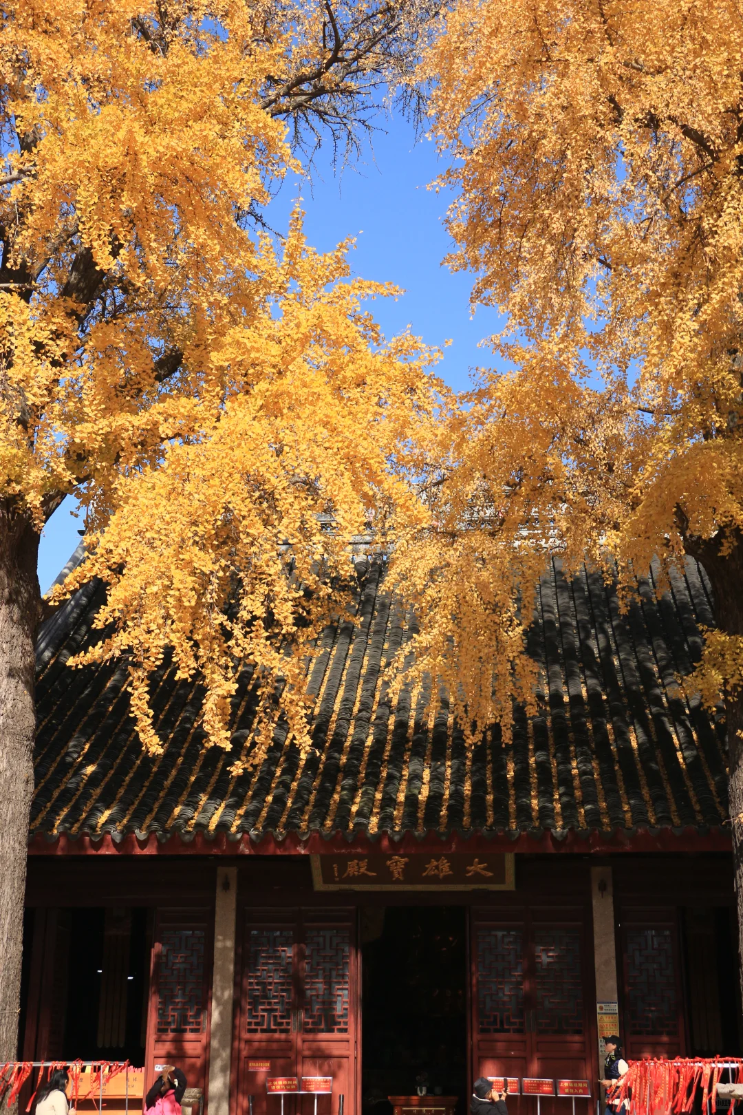 广东佬南京苏州旅游一星期总结