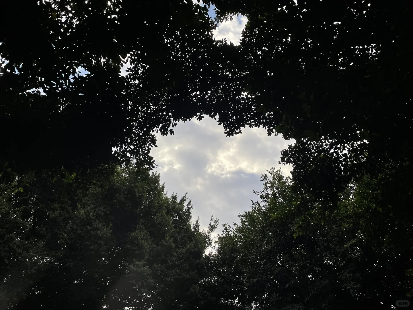 一个人的泉州旅游（不簪花版）