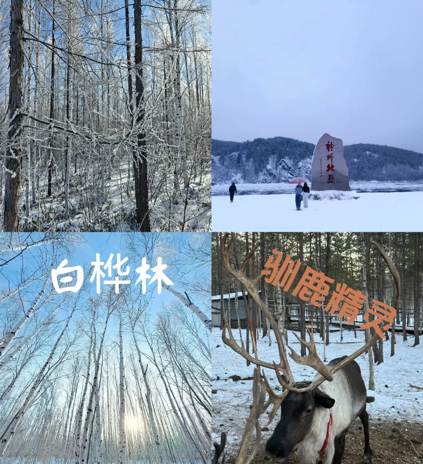 抄作业 漠河这样玩儿