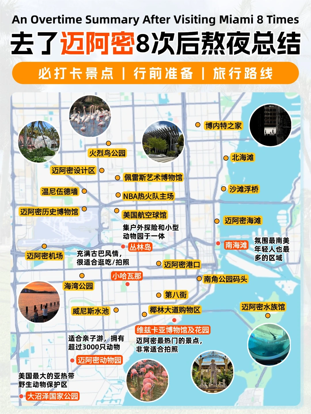 计划去迈阿密的必收藏❗熬夜整理的全套攻略