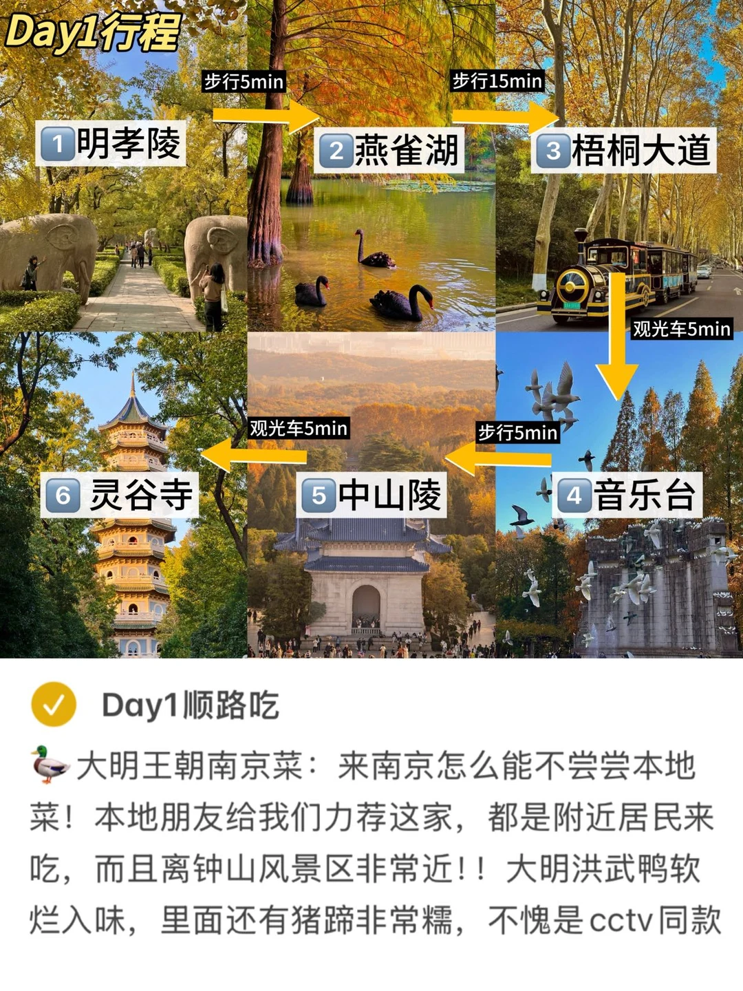 12-1月计划去南京的姐妹们听劝啊啊！