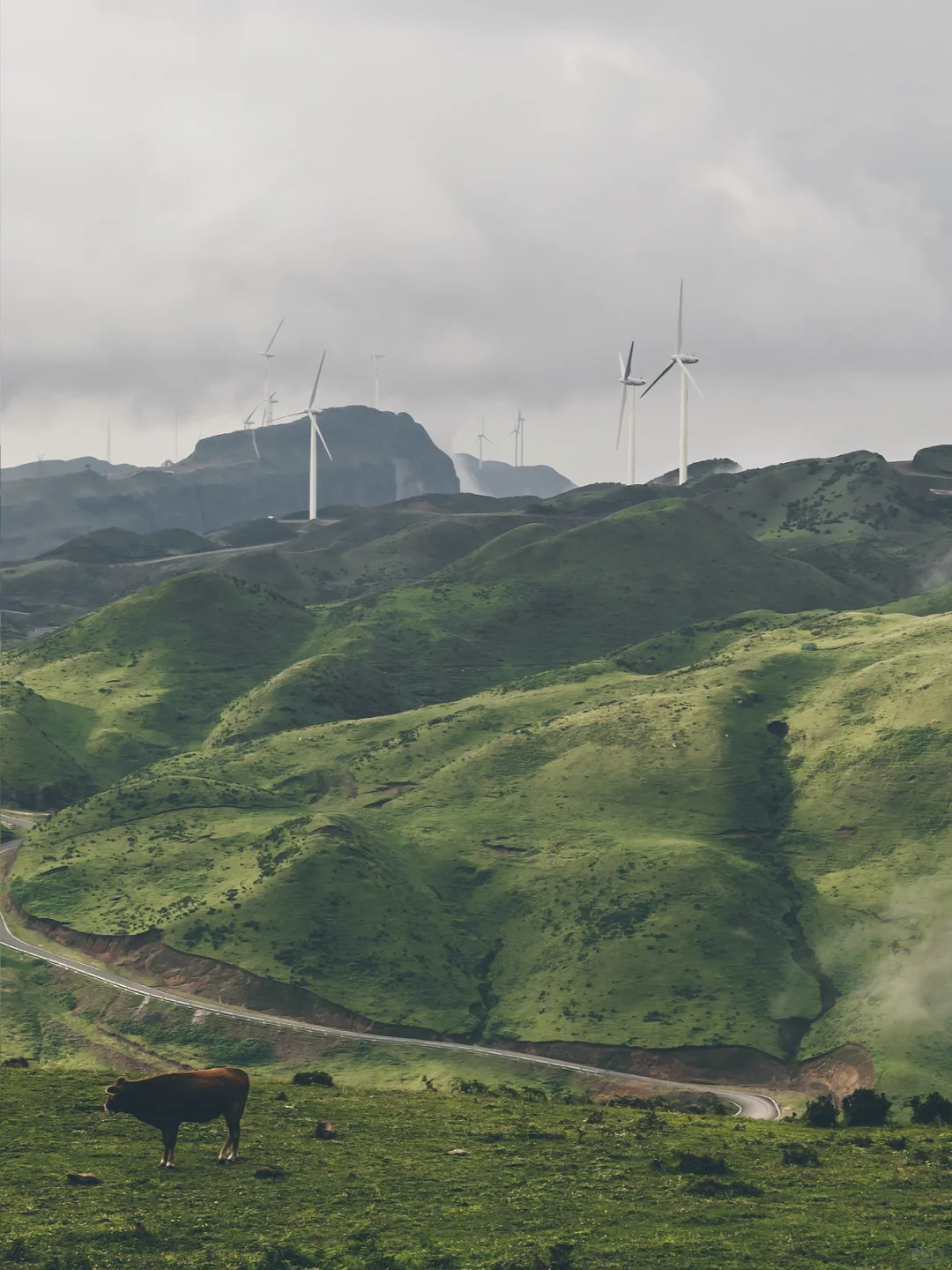 25年暑期亲子避暑胜地，平均气温20℃