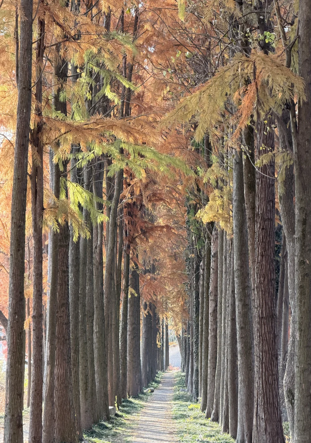 🚙皖南六天13个古村，最全旅游地图与推荐