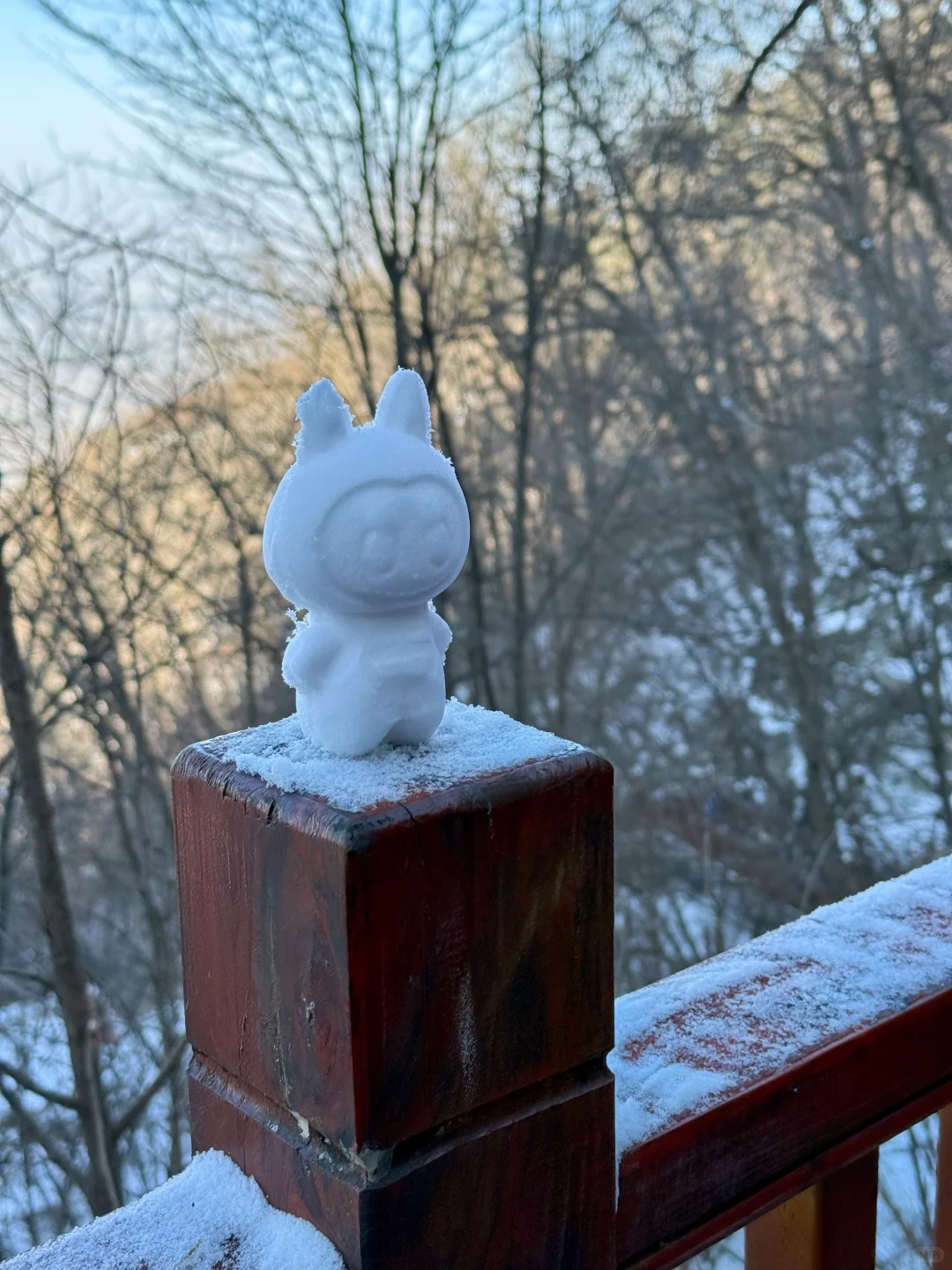 🚗西安周边游｜爬山⛰️玩雪❄️撸猫🐈走起‼️