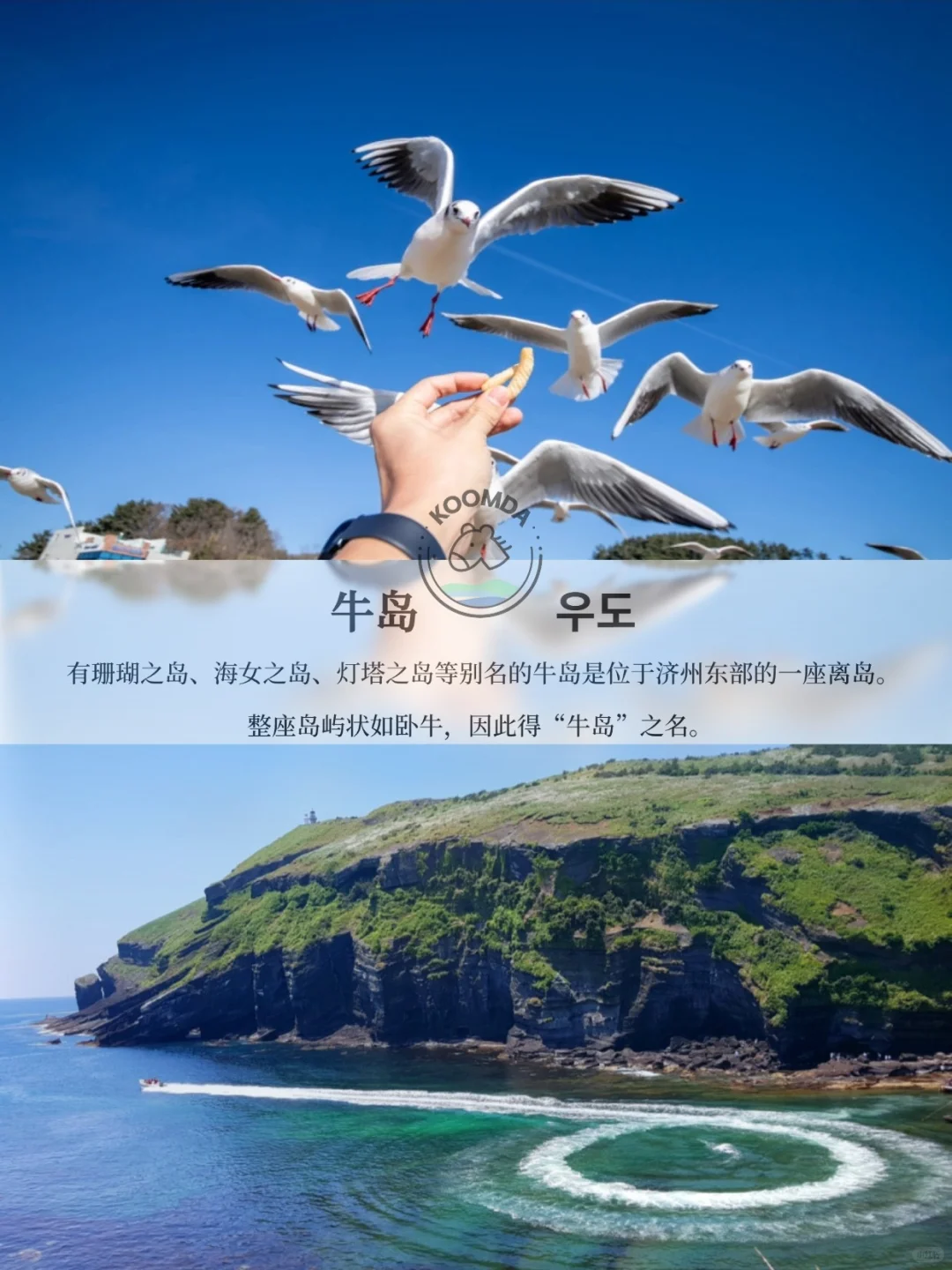 【酷达】2026 济州岛自由行,二晚三天