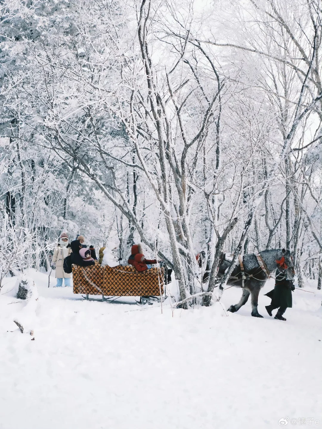 一张图看明白📍长白山玩什么‼️
