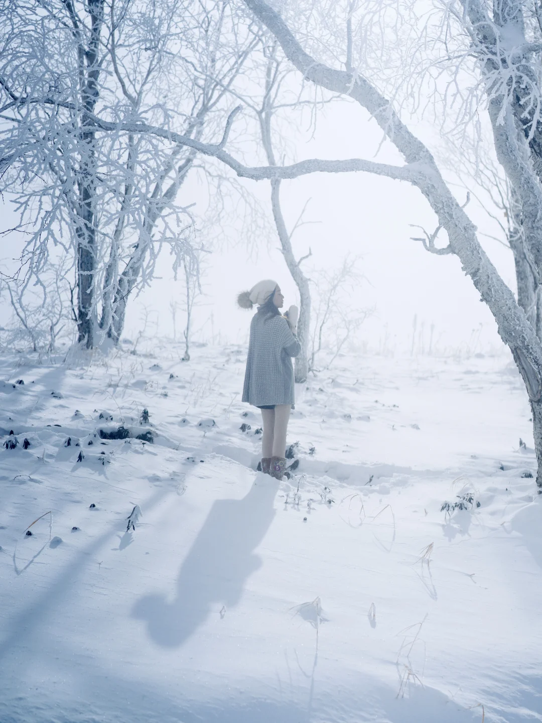 “推荐10个适合跨年过年旅行的冷门城市吧！”