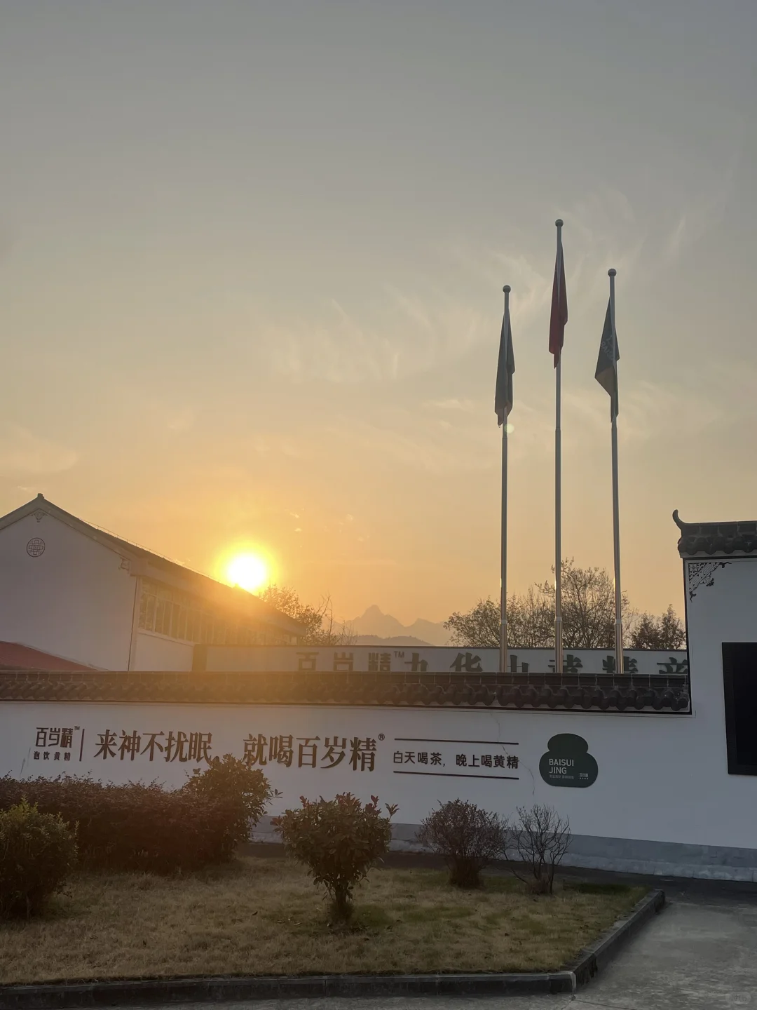 九华山3天2晚跨年祈福·黄精养生之旅