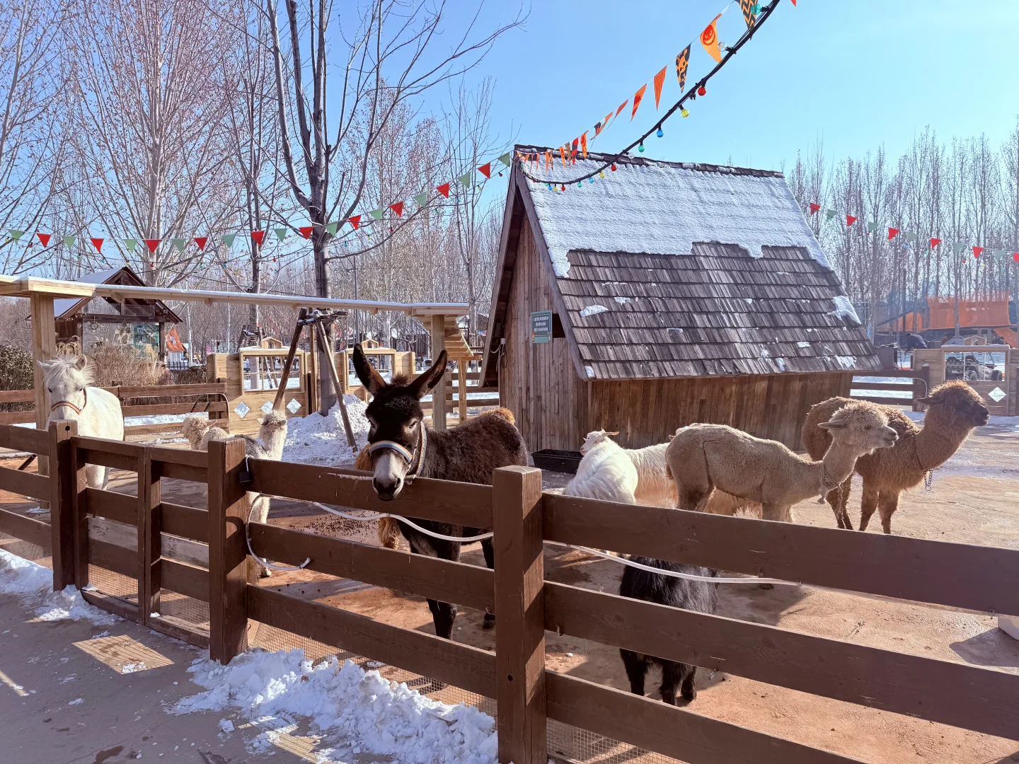 这个冬天，一起来尺木玩吧～