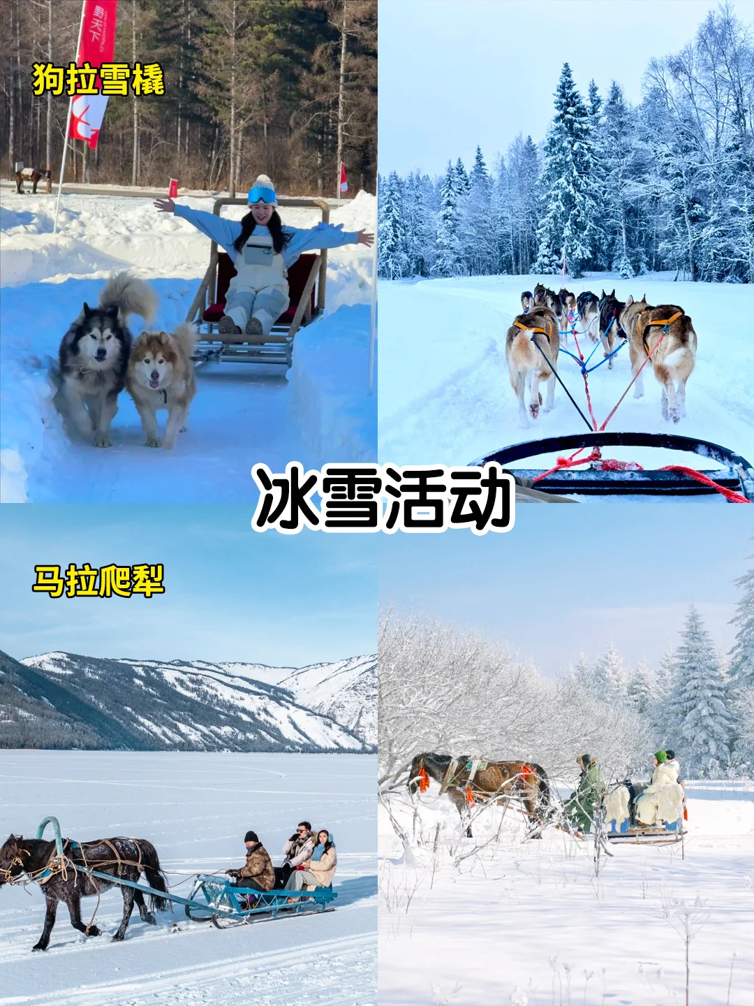 东北定制旅游🧣6天5晚纯玩环线↗️全程高能