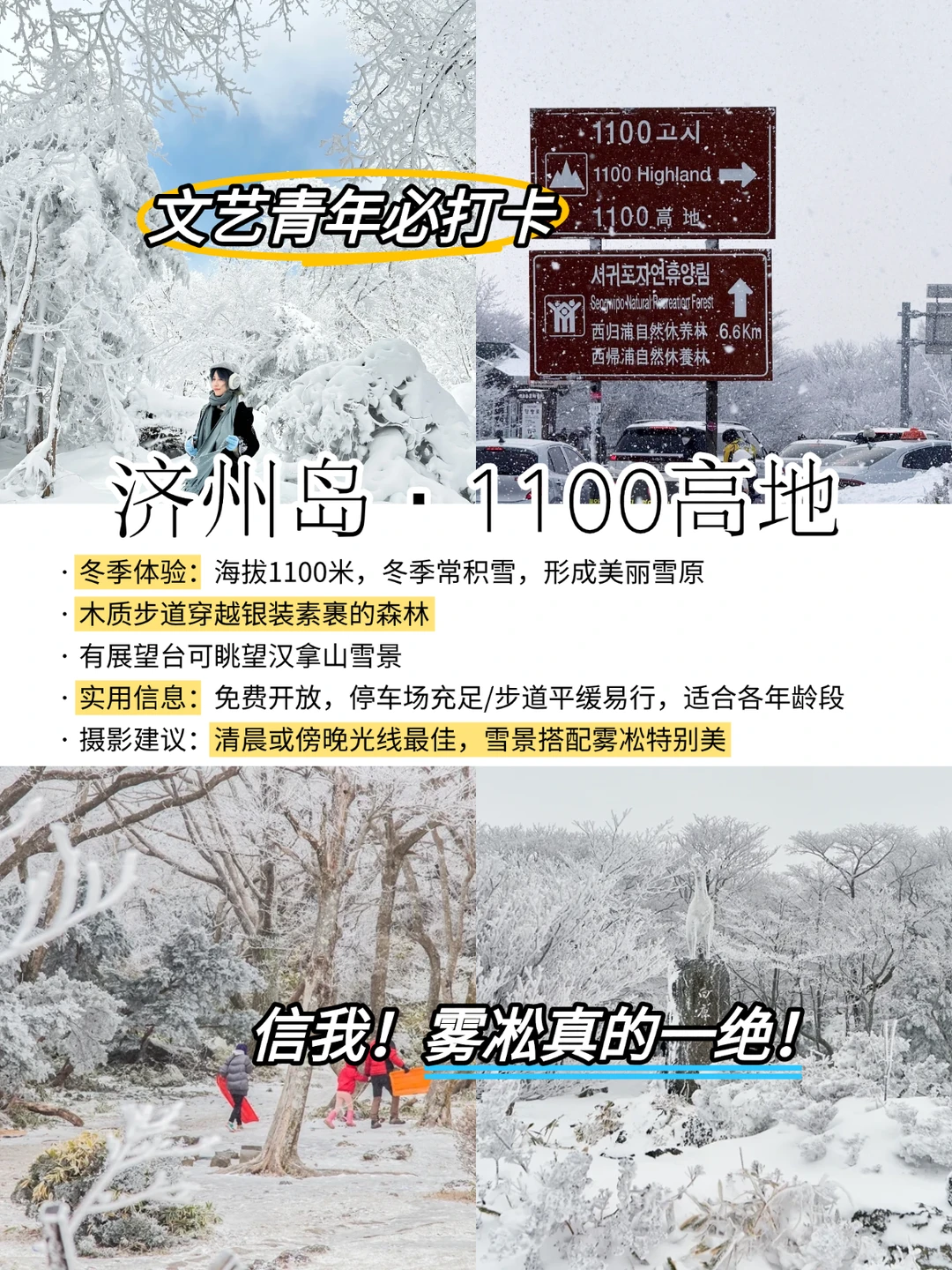 济州岛冬季必打卡景点攻略|码住👊