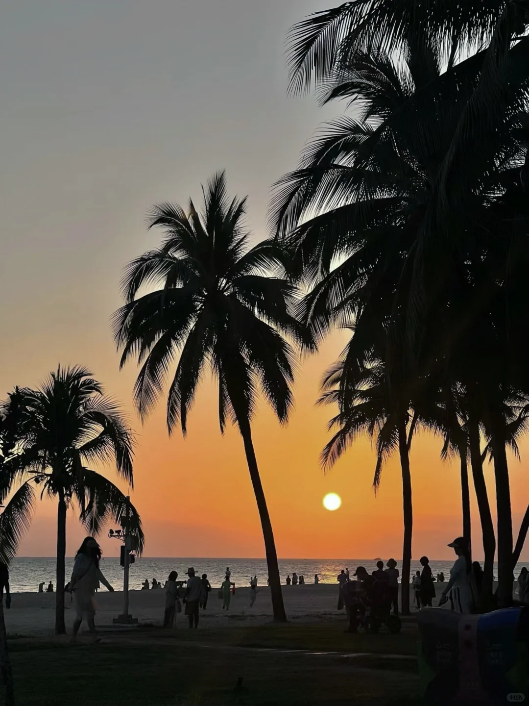 淡季的三亚真的很适合Citywalk！