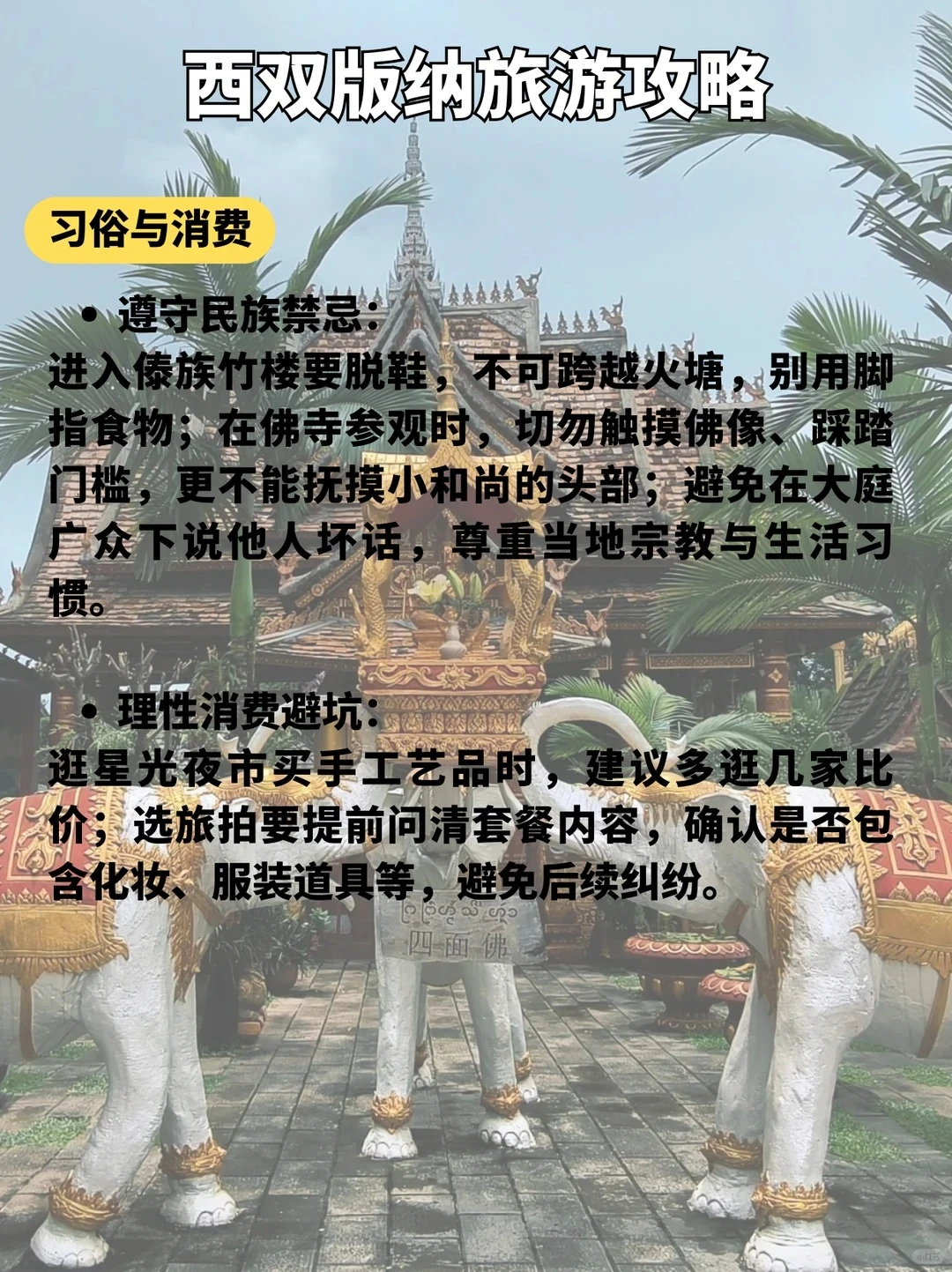 版纳这9个景点必打卡🔥第一来直接玩✨