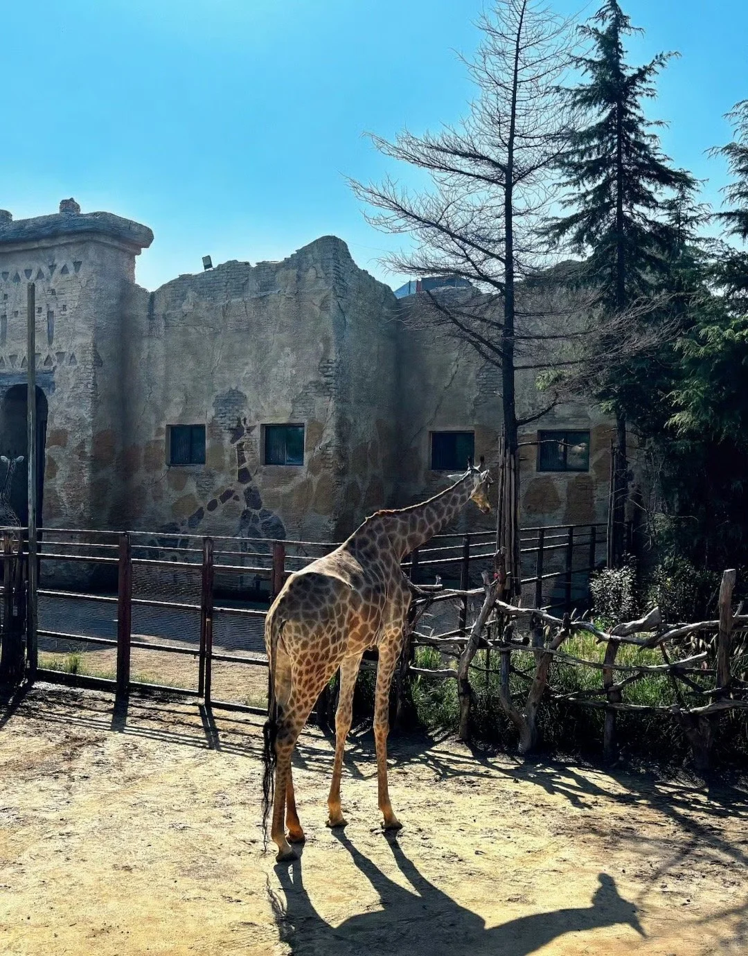 🏰【12 月郑州银基疯狂动物城攻略】