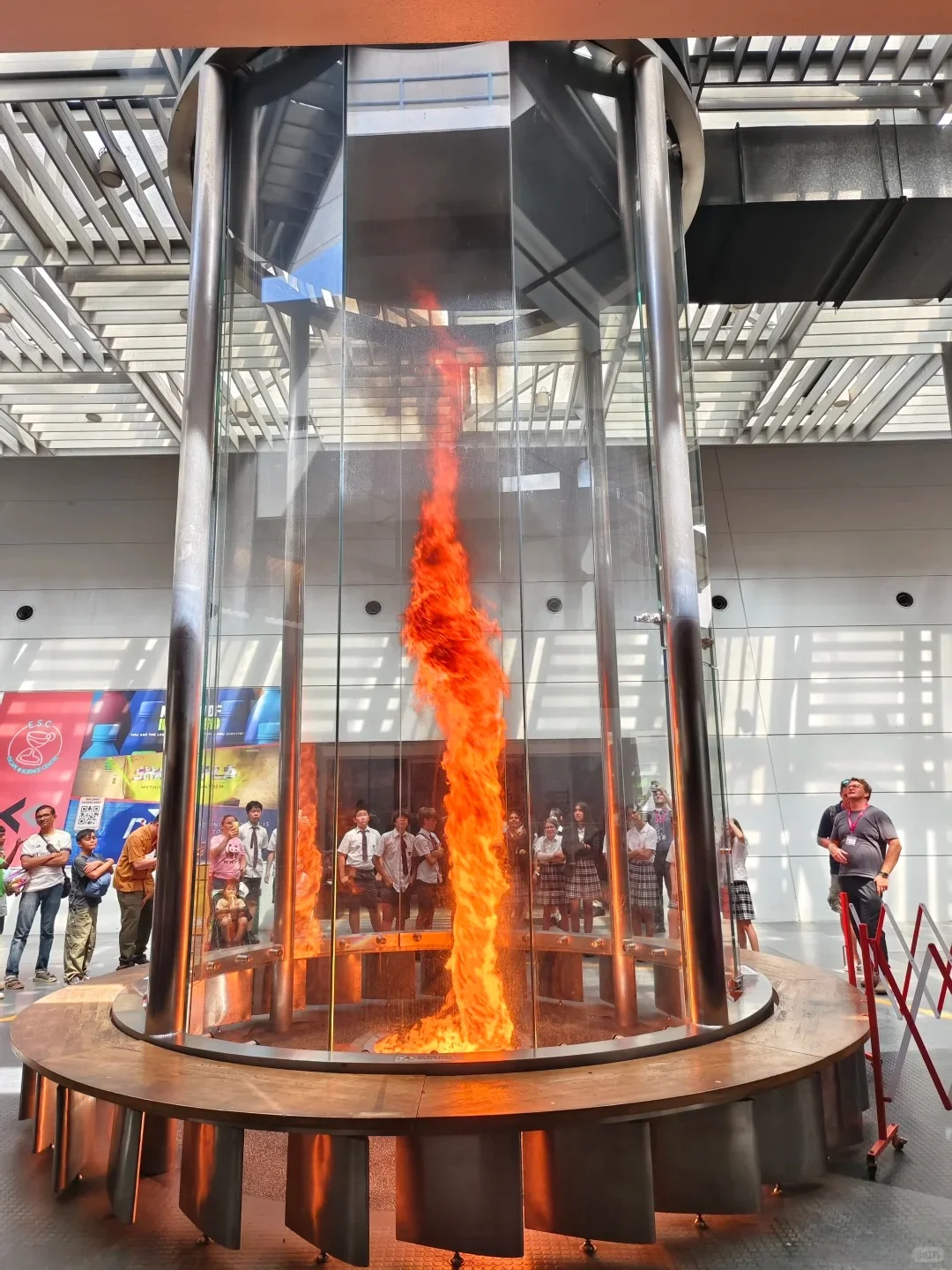 12月新加坡亲子游人文景点玩出知识点✨