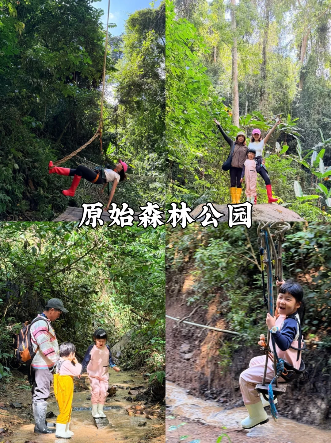 后悔没早点来版纳❗️｜带娃避寒太松驰！