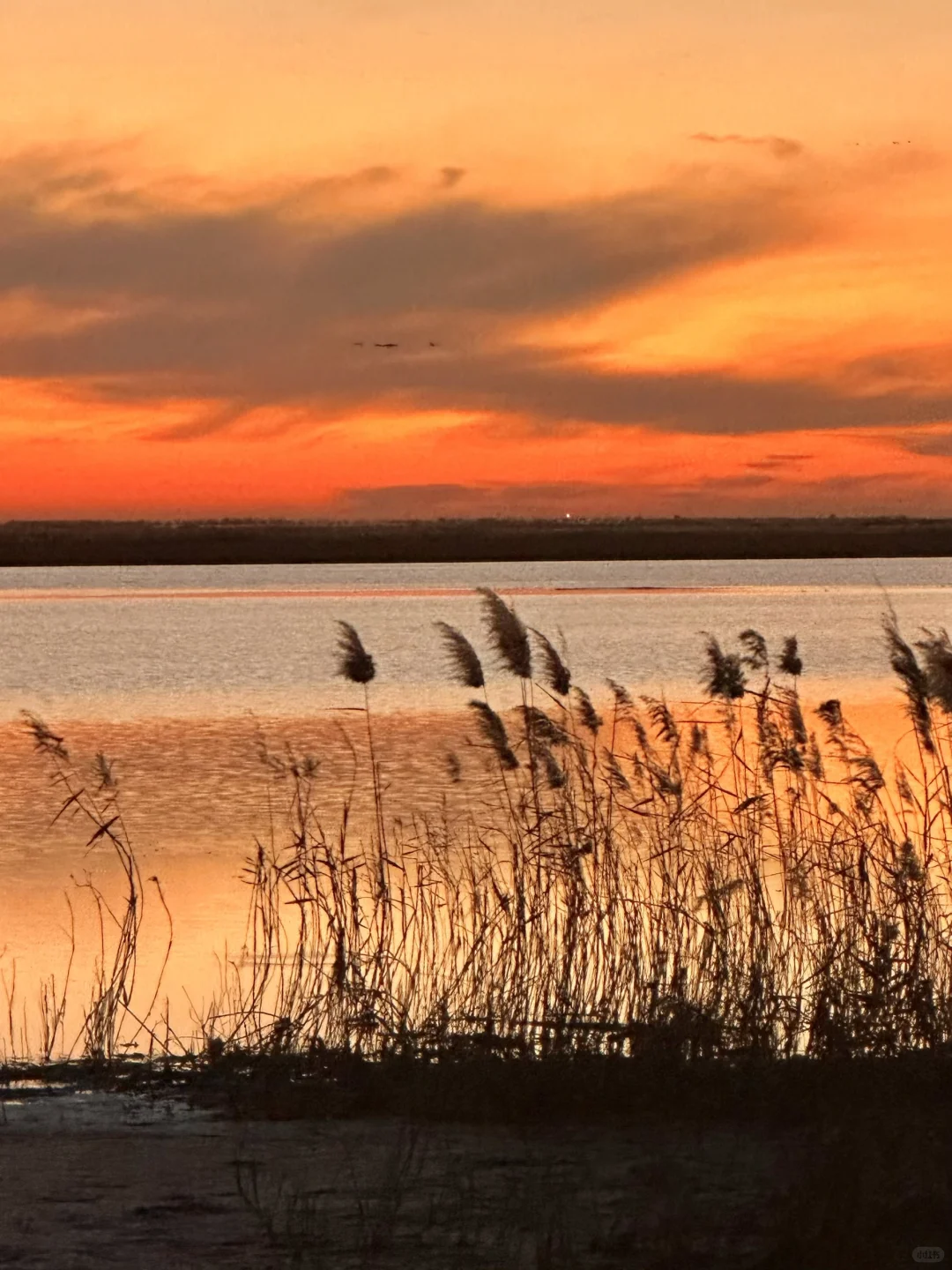 迄今为止 ，山东我最喜欢的小城出现了！！！